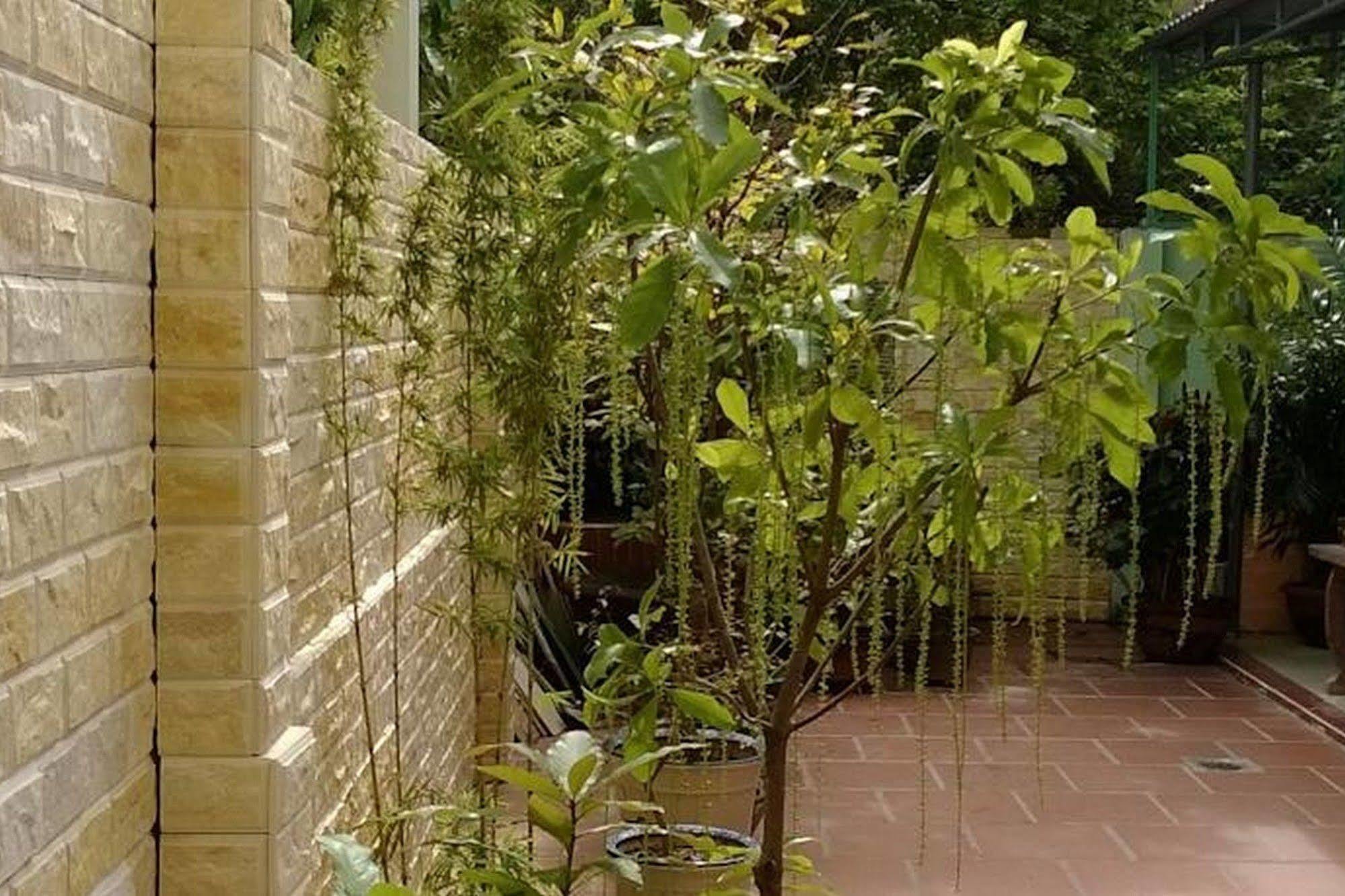 Hi Hop Yen Homestay ฮอยอัน ภายนอก รูปภาพ